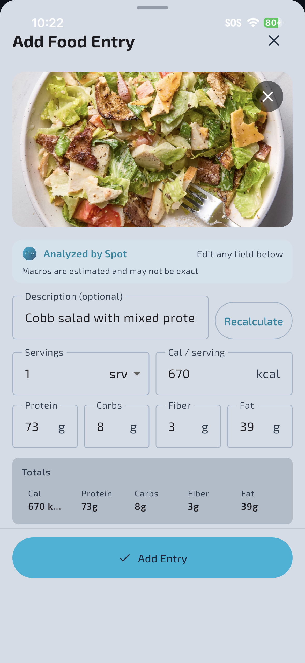 AI meal scanning — photo analyzed by Spot with estimated macros